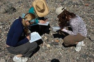 Field Studies in Natural History Field Studies in Natural History